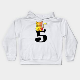 Gift for 5 Year Old Cat 5th Birthday Toddler Kids Girls Kids Hoodie